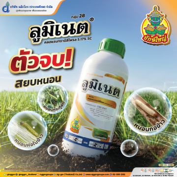 ไฟว์โกร80